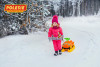 Детская каталка Мой любимый автомобиль (зима, лето) со звуком фото 3 — Полесье Россия