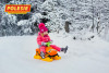 Детская каталка Мой любимый автомобиль (зима, лето) со звуком фото 6 — Полесье Россия
