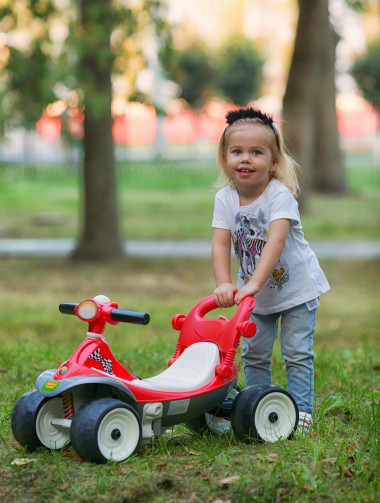 Детская каталка Трансформер №2 НЕ ПРОИЗВОДИМ — Полесье Россия