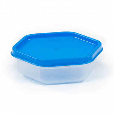 Ёмкость №115 с крышкой, 0,25 литра — Полесье Россия