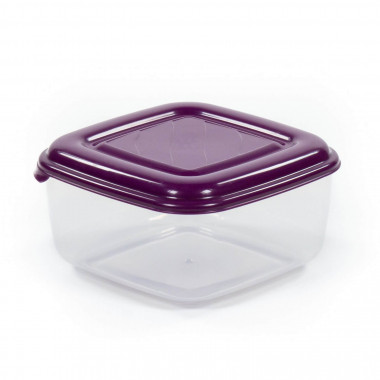 Ёмкость №36 квадратная с крышкой, 0,9 литра — Полесье Россия