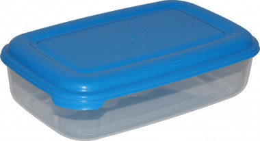 Ёмкость №39 прямоугольная с крышкой, 1 литр — Полесье Россия