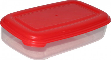 Ёмкость №39 прямоугольная с крышкой, 1 литр — Полесье Россия