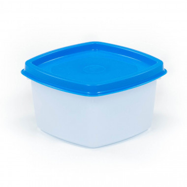 Ёмкость №4 с крышкой, 0,5 литра — Полесье Россия