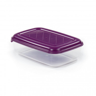 Ёмкость №40 прямоугольная с крышкой, 1,6 литра — Полесье Россия