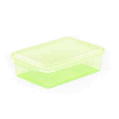 Контейнер с крышкой, 176х123х50 мм — Полесье Россия