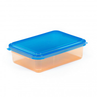 Контейнер с крышкой, 176х123х50 мм — Полесье Россия