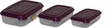 Набор ёмкостей №2 (прямоугольные с крышками): №№ 39 (1 л), 40 (1,6 л), 41 (2,7 л) — Полесье Россия