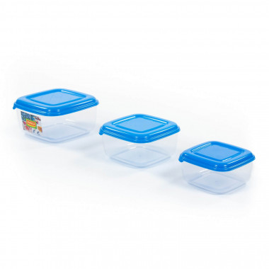 Набор ёмкостей №3 (квадратные с крышками): ёмкости №№ 36 (0,9 л), 37 (1,5 л), 38 (2,4 л) — Полесье Россия